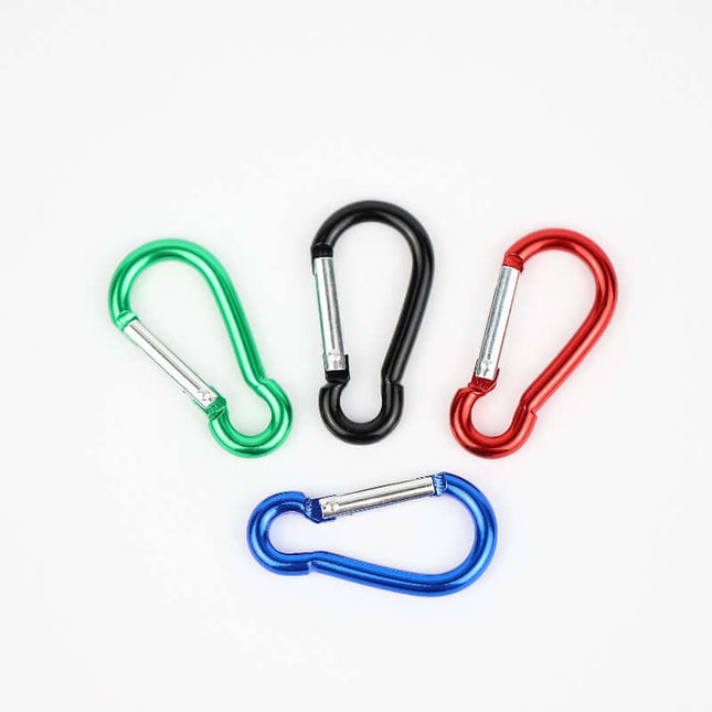 "Carabiner" keychain