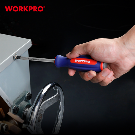 طقم عدو من وورك برو 123 قطعة من وورك برو (WP202533)