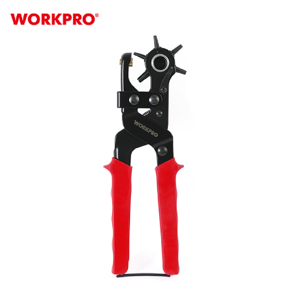 خراقة الجلد من وورك برو (WP231077)