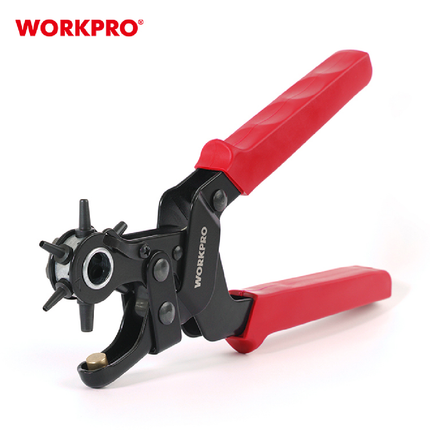 خراقة الجلد من وورك برو (WP231077)