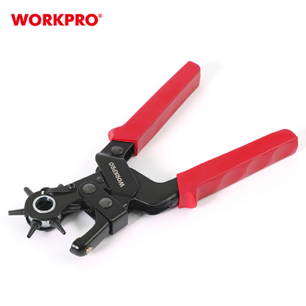 خراقة الجلد من وورك برو (WP231077)