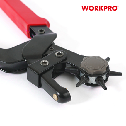 خراقة الجلد من وورك برو (WP231077)