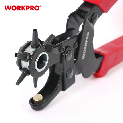 خراقة الجلد من وورك برو (WP231077)