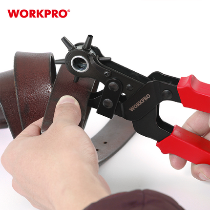 خراقة الجلد من وورك برو (WP231077)