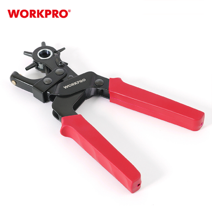 خراقة الجلد من وورك برو (WP231077)