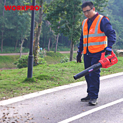 بلور هواء شحن 20 فولت من وورك برو (WP394005)